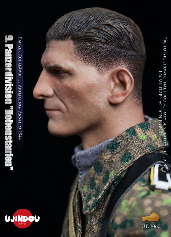 Panzerdivision Hohenstaufen, Panzer Reconnaissance Battalion, Arnhem 1944, WWII 1/6