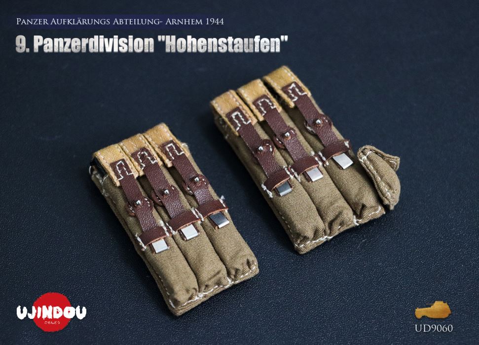 Panzerdivision Hohenstaufen, Panzer Reconnaissance Battalion, Arnhem 1944, WWII 1/6