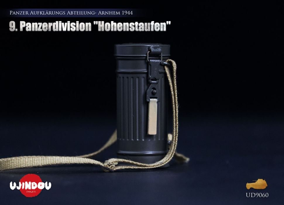 Panzerdivision Hohenstaufen, Panzer Reconnaissance Battalion, Arnhem 1944, WWII 1/6