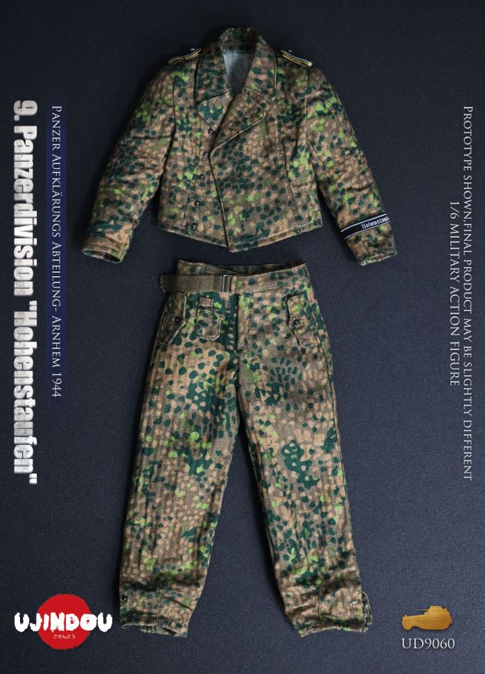 Panzerdivision Hohenstaufen, Panzer Reconnaissance Battalion, Arnhem 1944, WWII 1/6