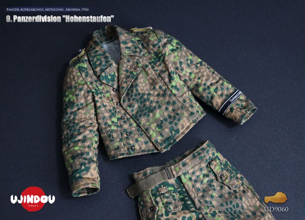 Panzerdivision Hohenstaufen, Panzer Reconnaissance Battalion, Arnhem 1944, WWII 1/6