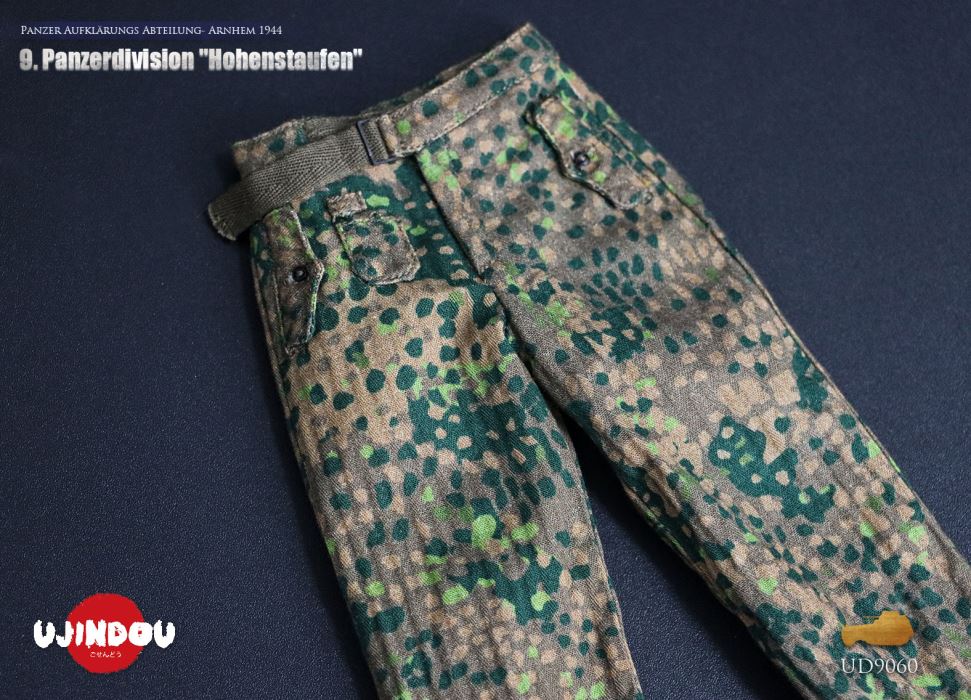 Panzerdivision Hohenstaufen, Panzer Reconnaissance Battalion, Arnhem 1944, WWII 1/6