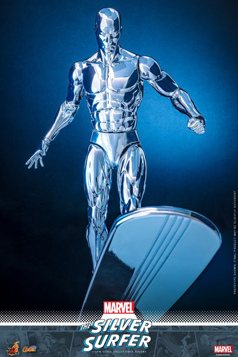 The Silver Surfer 1/6