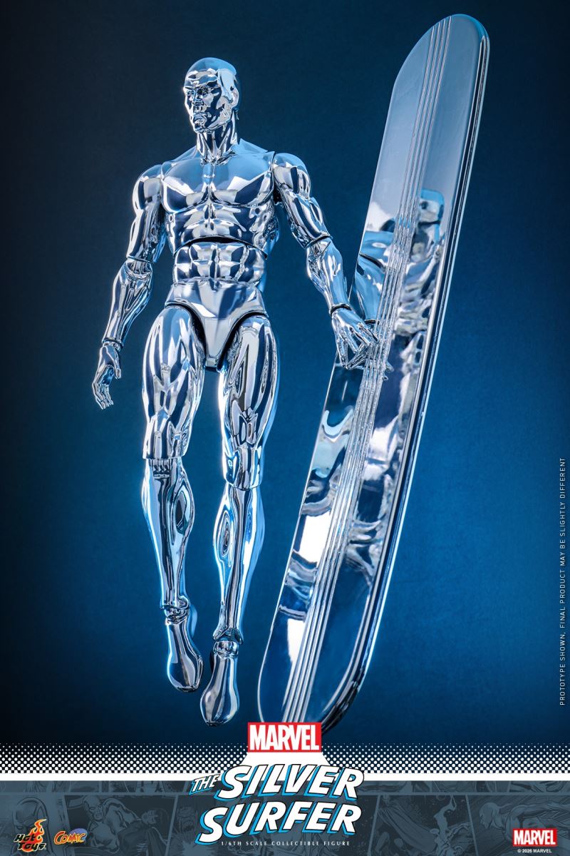 The Silver Surfer 1/6