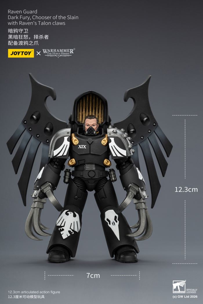 Raven Guard - Dark Fury/Shadow Sergeant/Mordes Member/Tactical Sergeant/Legion Soldier 1/18