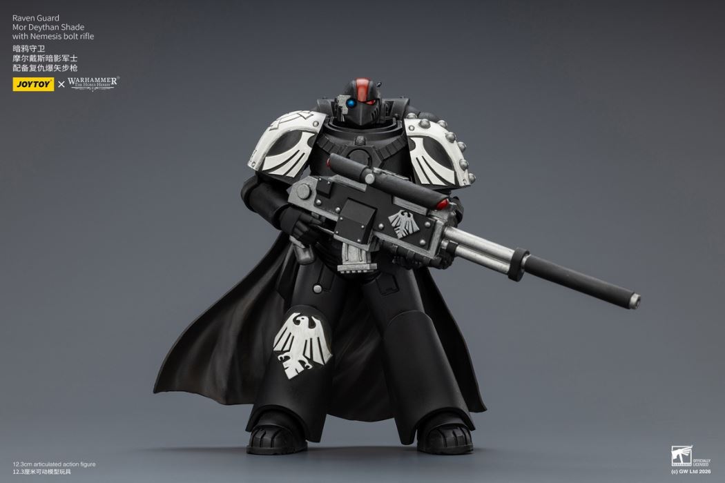 Raven Guard - Dark Fury/Shadow Sergeant/Mordes Member/Tactical Sergeant/Legion Soldier 1/18