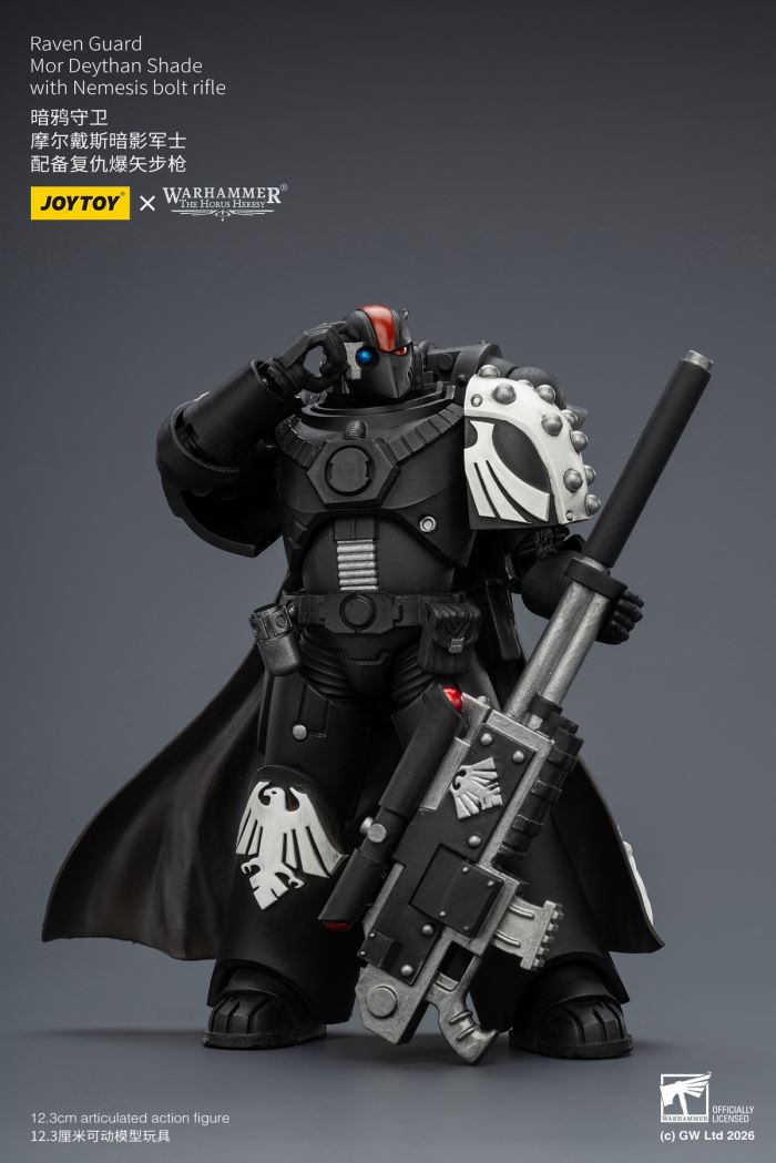 Raven Guard - Dark Fury/Shadow Sergeant/Mordes Member/Tactical Sergeant/Legion Soldier 1/18