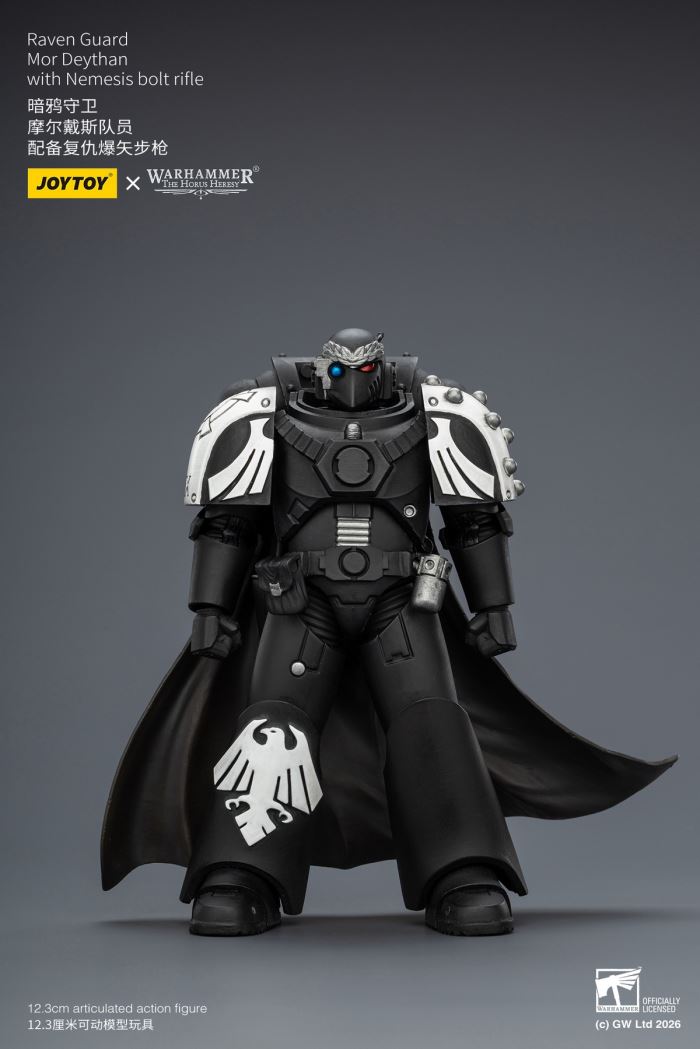 Raven Guard - Dark Fury/Shadow Sergeant/Mordes Member/Tactical Sergeant/Legion Soldier 1/18