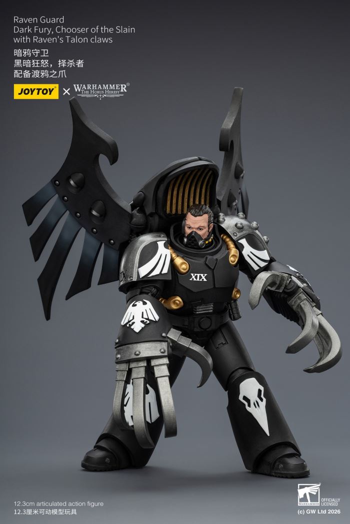 Raven Guard - Dark Fury/Shadow Sergeant/Mordes Member/Tactical Sergeant/Legion Soldier 1/18