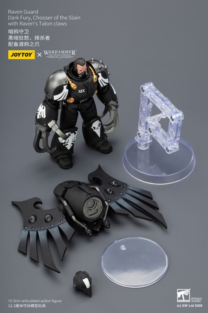Raven Guard - Dark Fury/Shadow Sergeant/Mordes Member/Tactical Sergeant/Legion Soldier 1/18