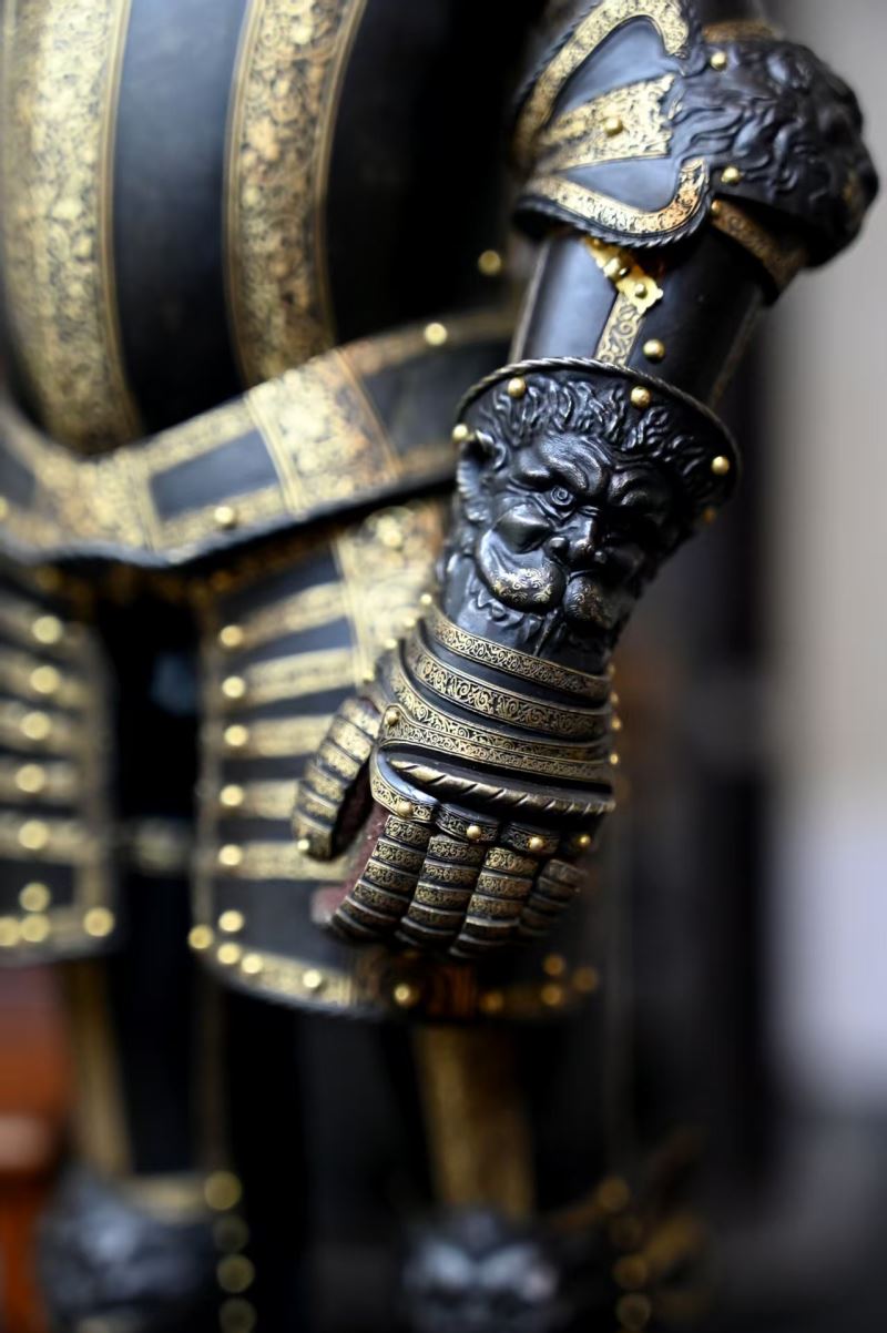 Lion Armor 1/6