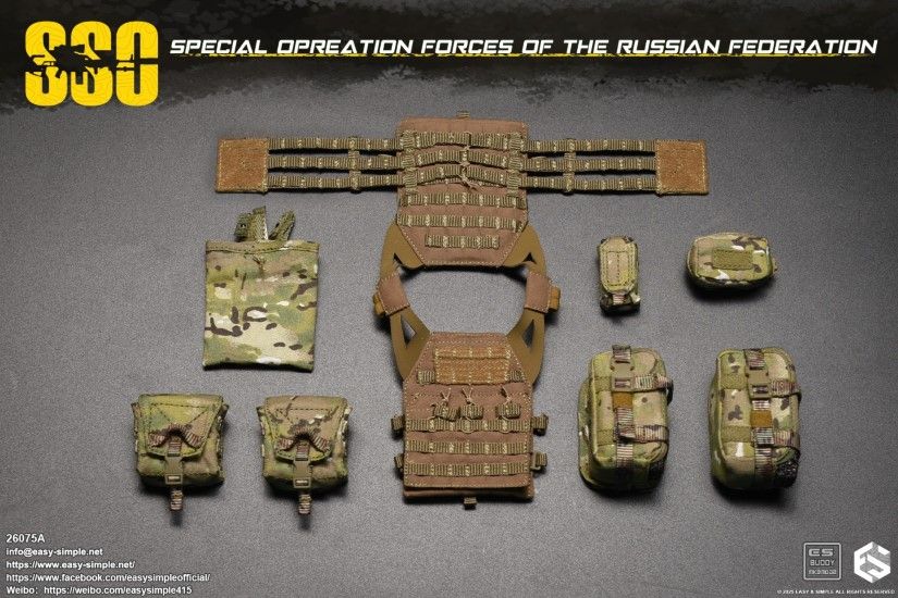Russian SSO Special Forces 1/6