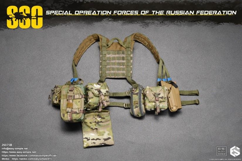 Russian SSO Special Forces 1/6