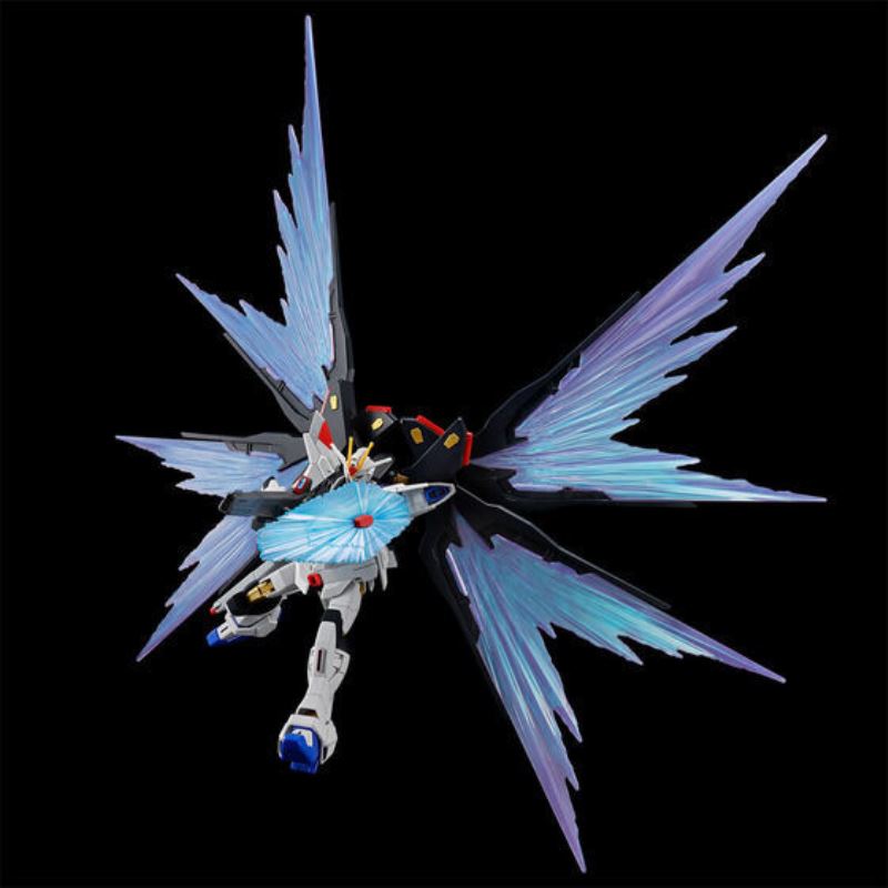 HG 1/144 Strike Freedom Gundam Type-2 & Wings of Light Effect Set