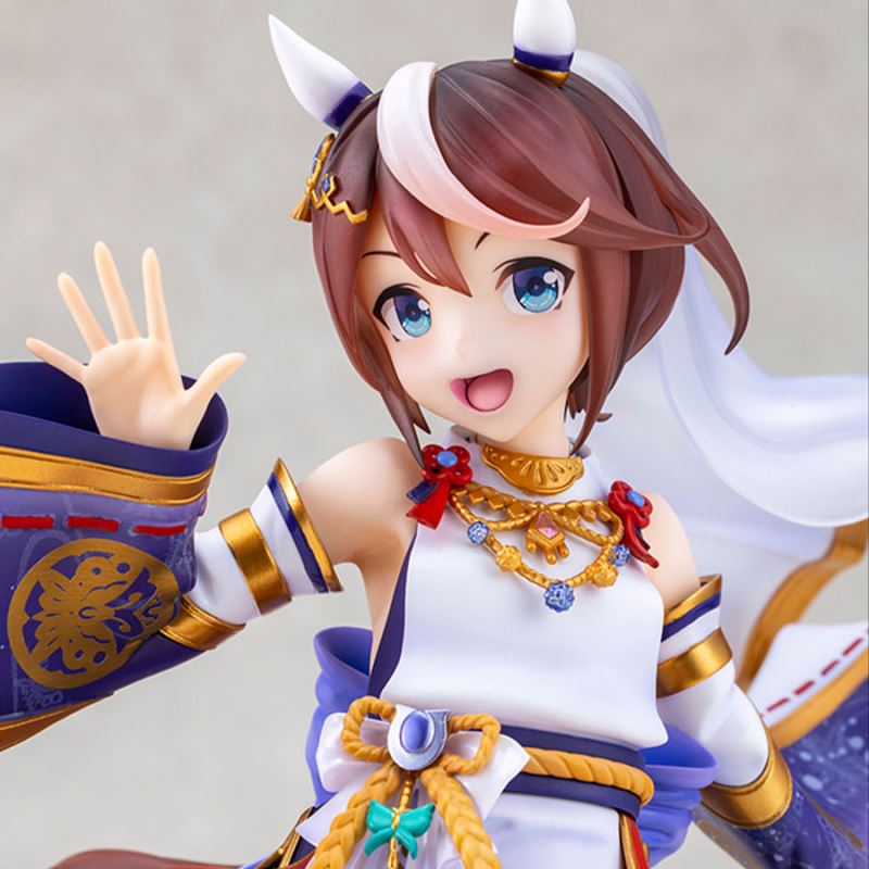 Shiun no Yumemitori Tokai Teio