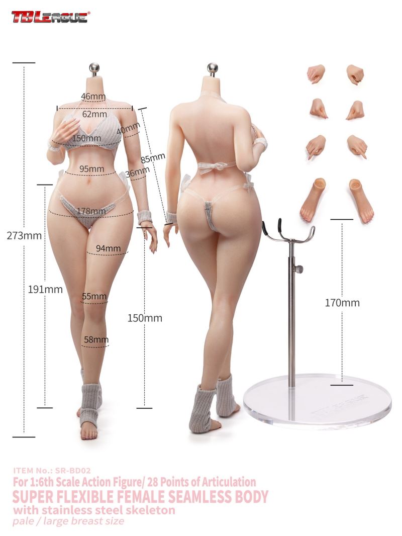 Female Body 1/6