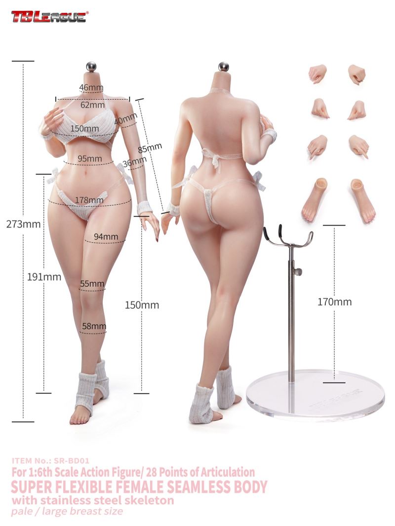 Female Body 1/6