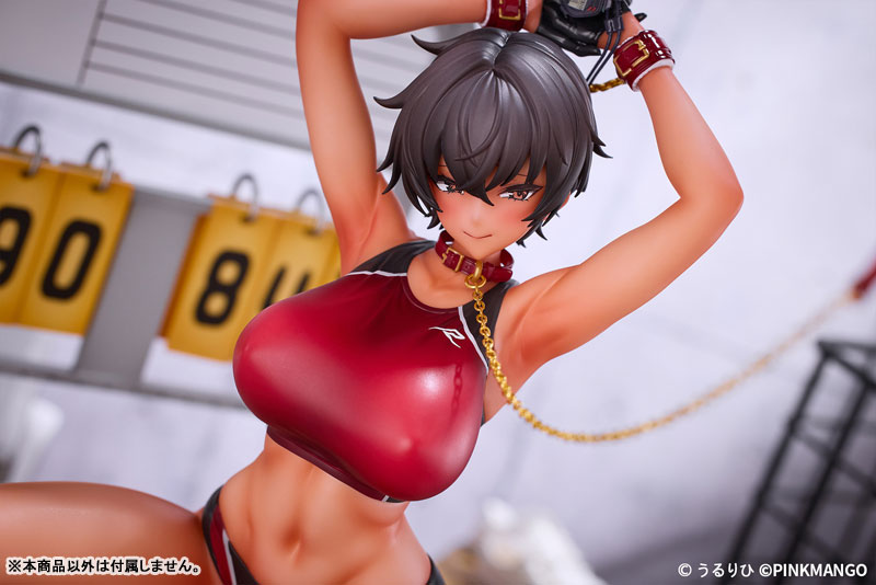 Saotome Ryuki 1/6