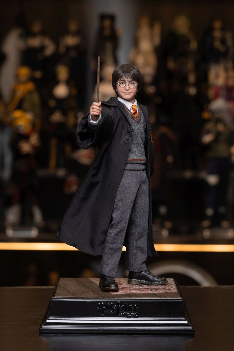 Harry Potter / Hermione / Ron 1/6