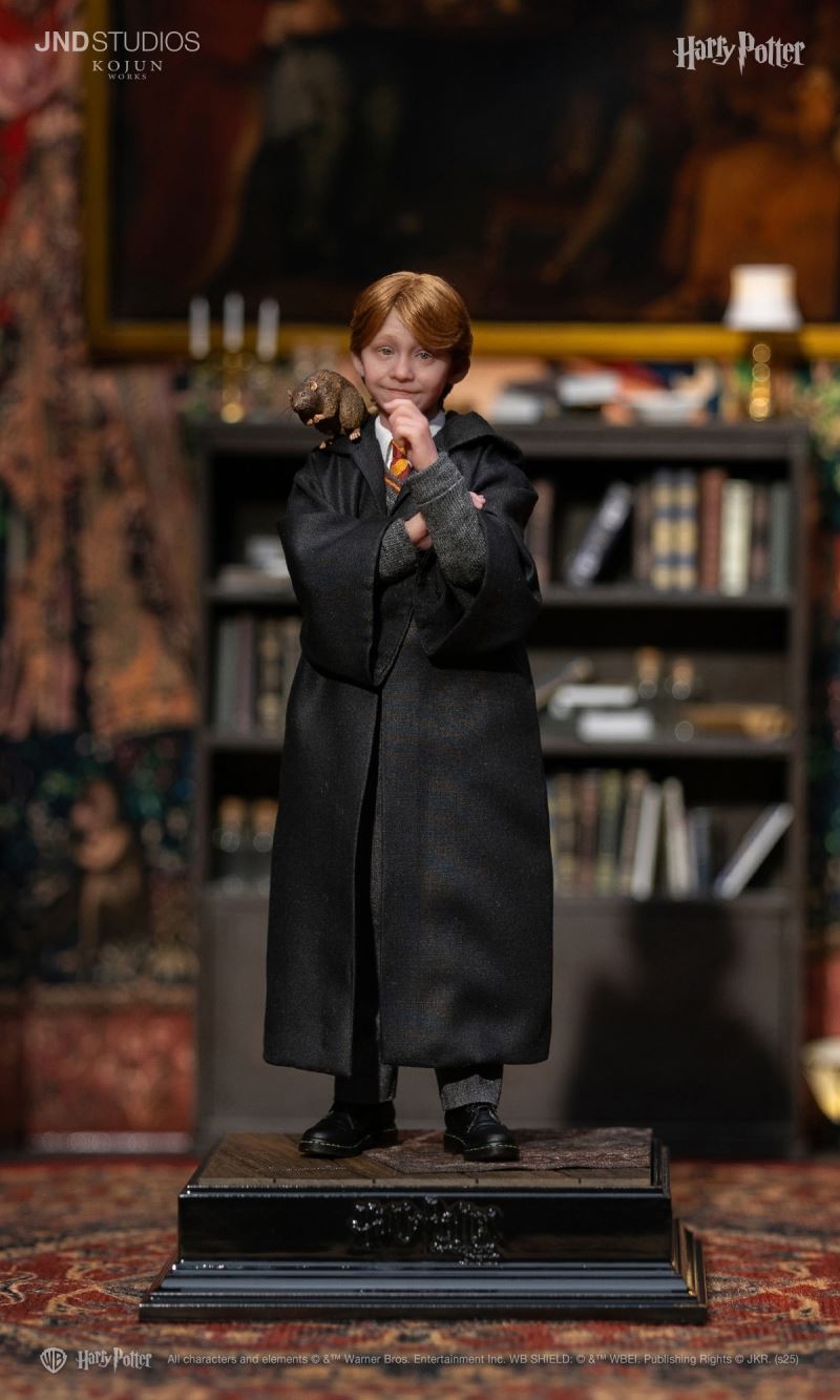 Harry Potter / Hermione / Ron 1/6