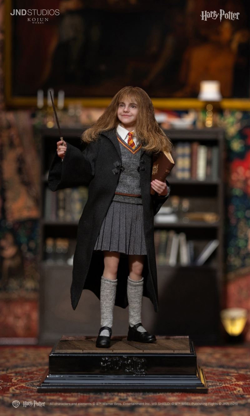 Harry Potter / Hermione / Ron 1/6