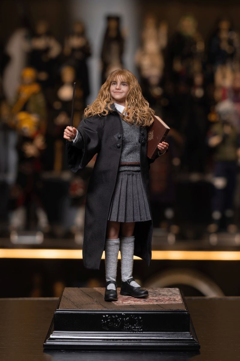 Harry Potter / Hermione / Ron 1/6