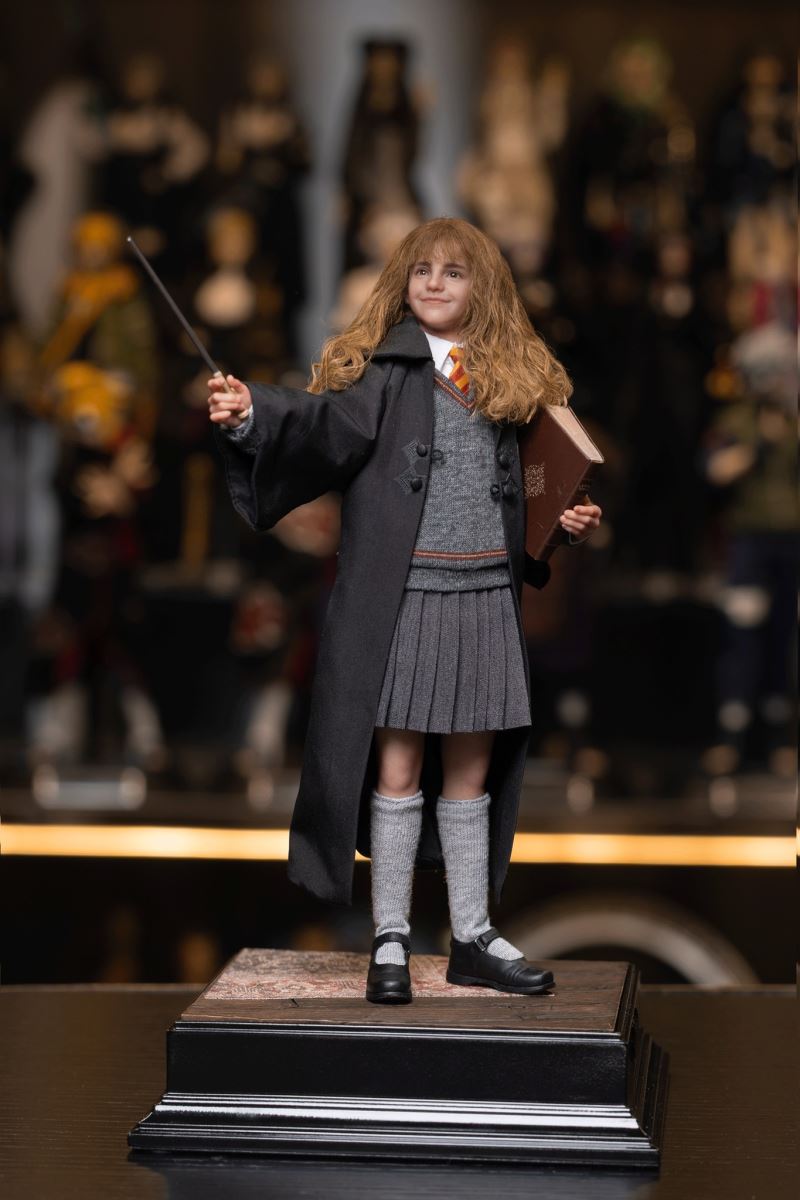Harry Potter / Hermione / Ron 1/6