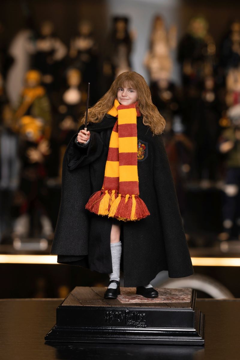 Harry Potter / Hermione / Ron 1/6