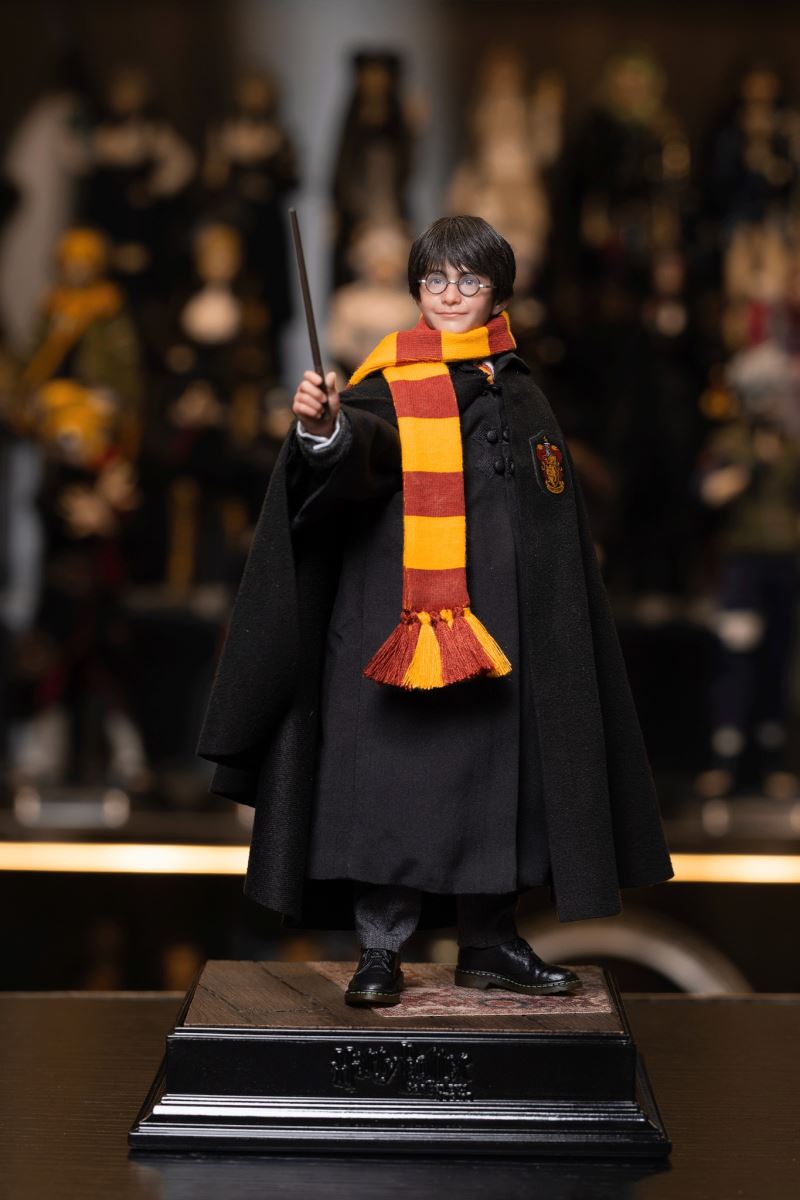 Harry Potter / Hermione / Ron 1/6