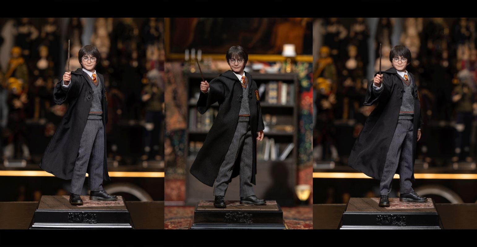 Harry Potter / Hermione / Ron 1/6