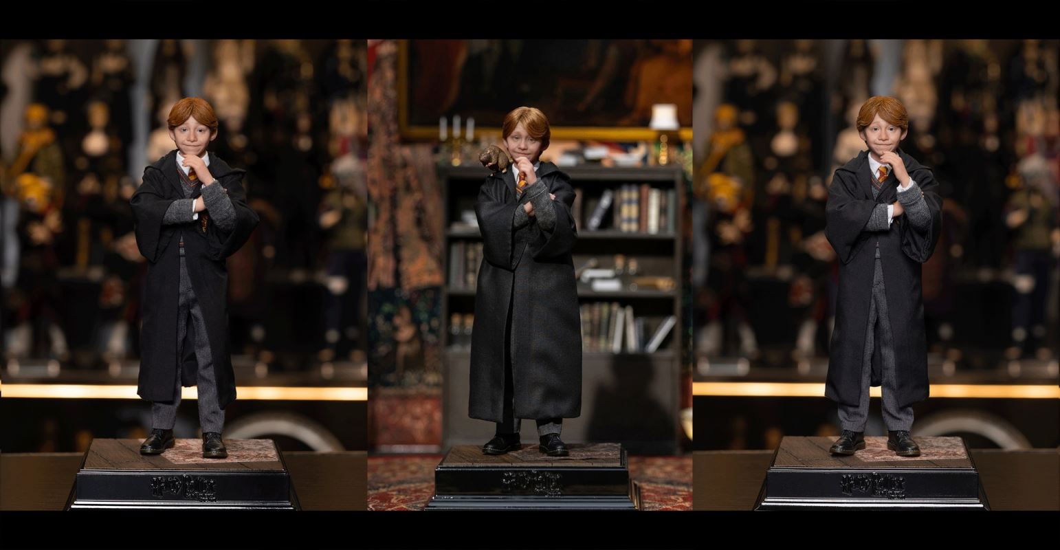 Harry Potter / Hermione / Ron 1/6