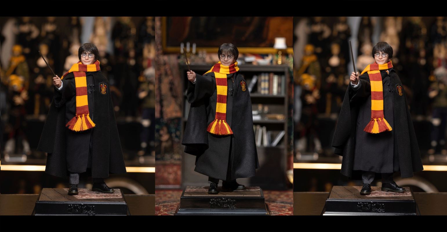 Harry Potter / Hermione / Ron 1/6