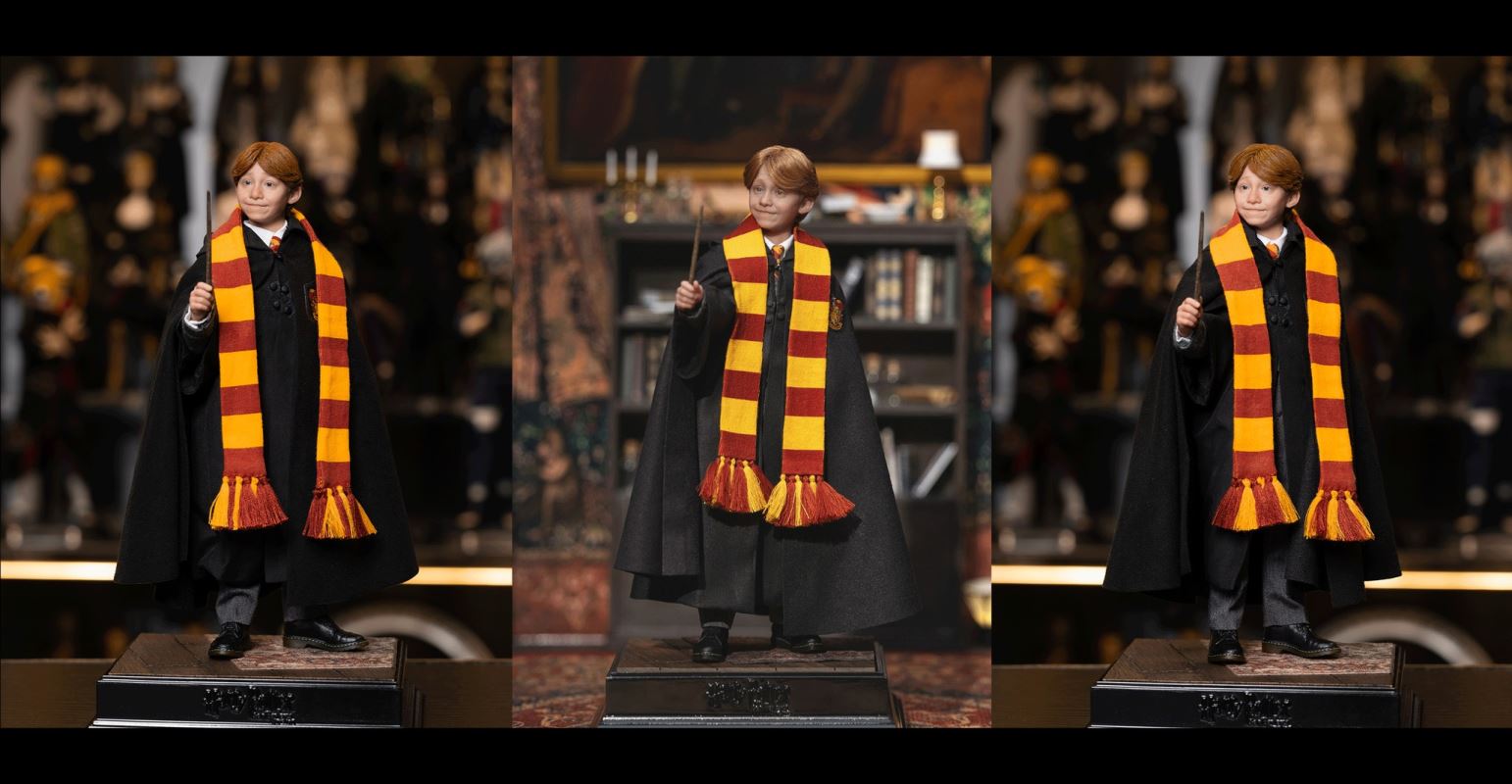 Harry Potter / Hermione / Ron 1/6