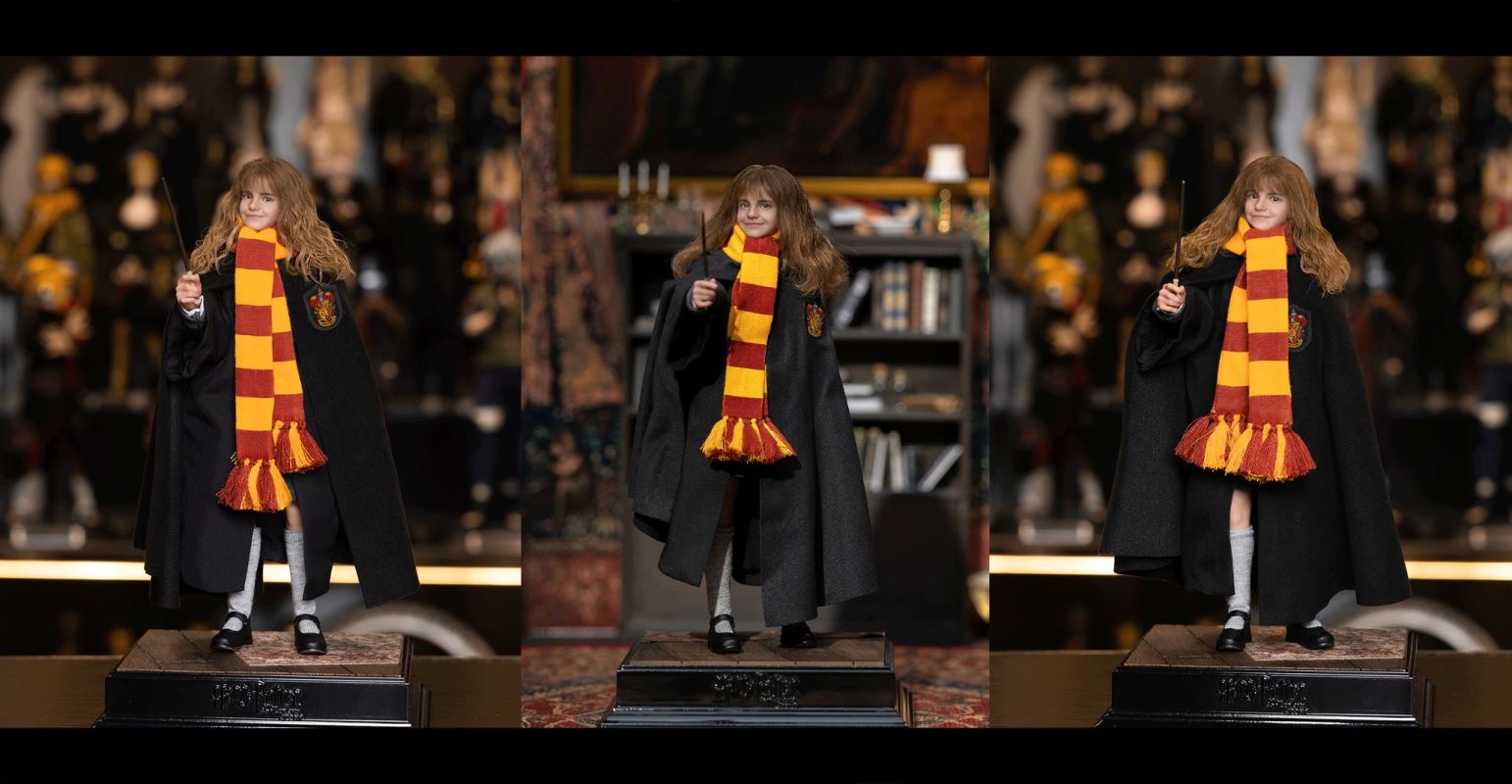 Harry Potter / Hermione / Ron 1/6