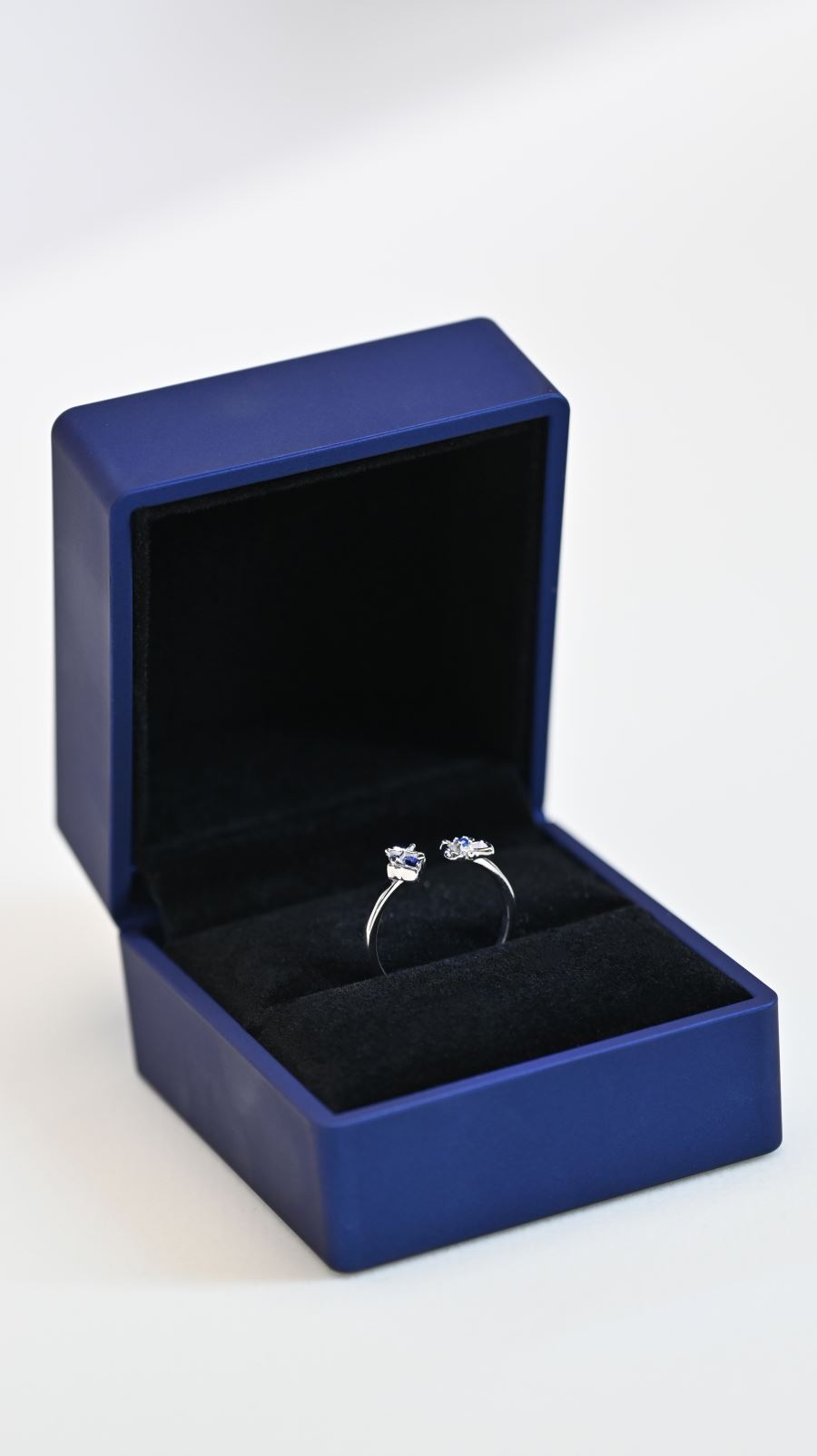 Wedding dress Bronya Zaychik - Honkai Impact (Hyperion Studio)