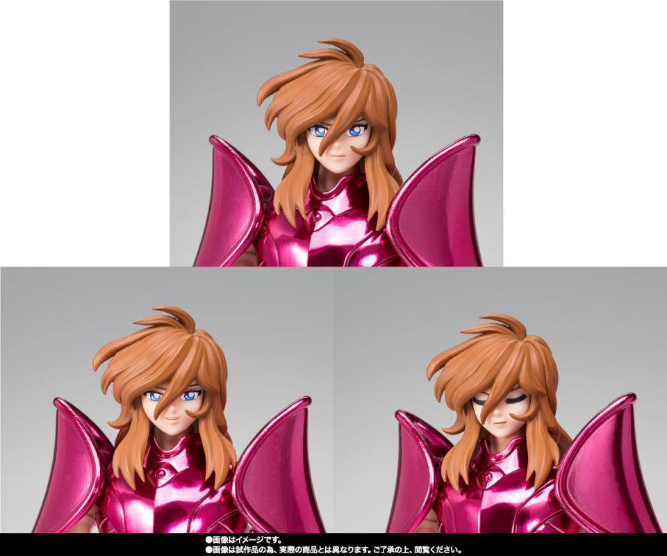 Saint Cloth Myth EX Andromeda Shun (Final Bronze Cloth) -ORIGINAL COLOR EDITION-