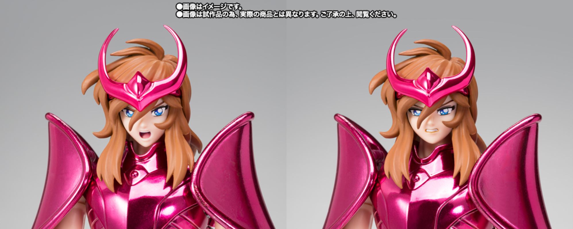 Saint Cloth Myth EX Andromeda Shun (Final Bronze Cloth) -ORIGINAL COLOR EDITION-