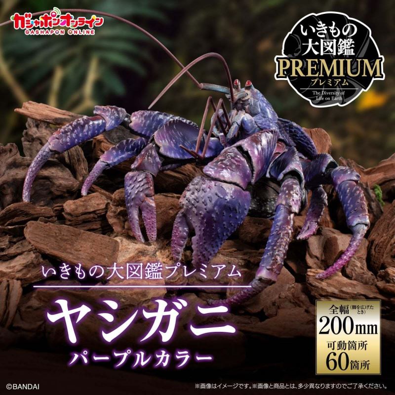 The Great Encyclopedia of Living Things Premium: Coconut Crab [Purple Color]