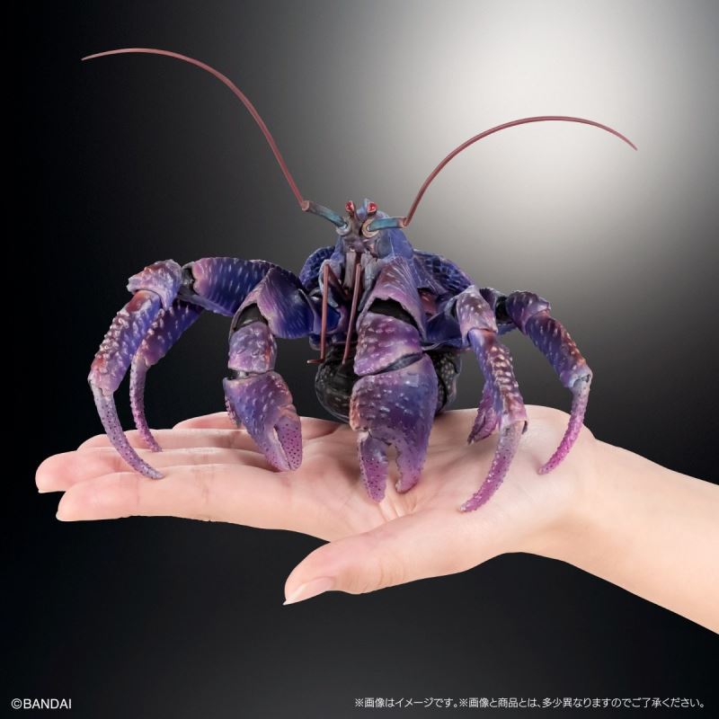 The Great Encyclopedia of Living Things Premium: Coconut Crab [Purple Color]