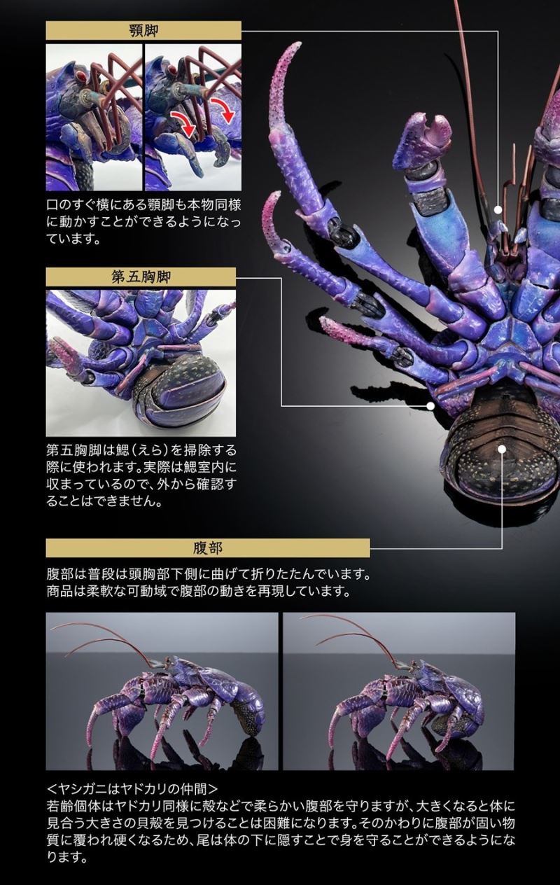 The Great Encyclopedia of Living Things Premium: Coconut Crab [Purple Color]