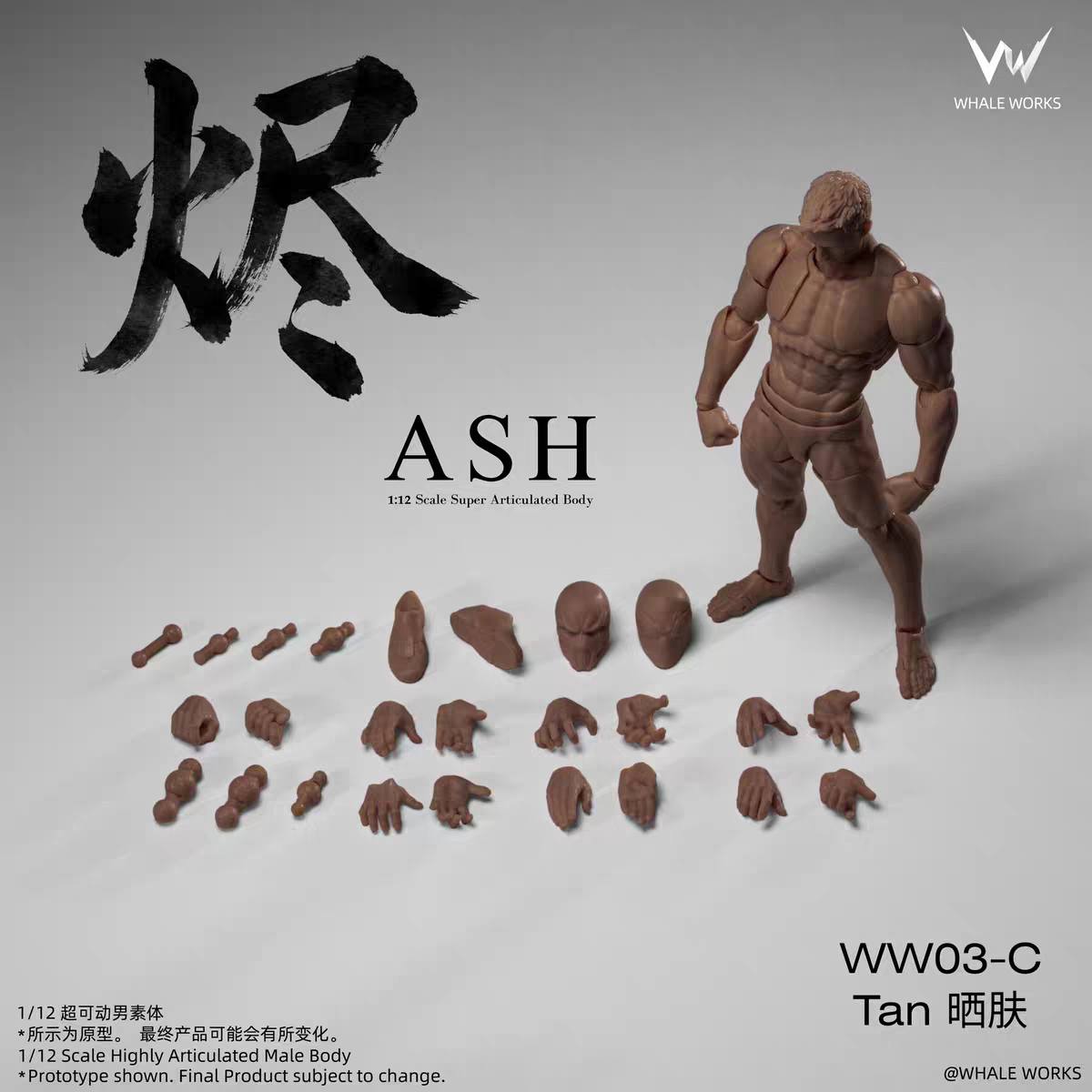 Male Body Ash 1/12