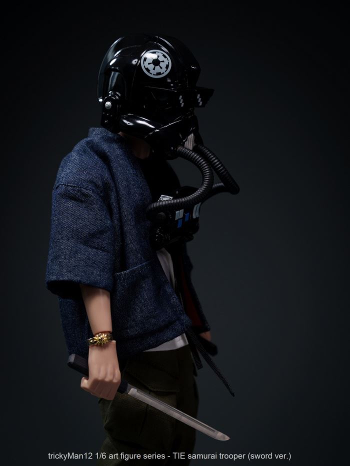 TIE samurai trooper 1/6