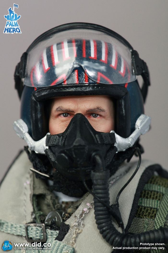 U.S. Navy Fighter Weapons School Instructor and F/A-18E Pilot - Captain Mitchell 1/12