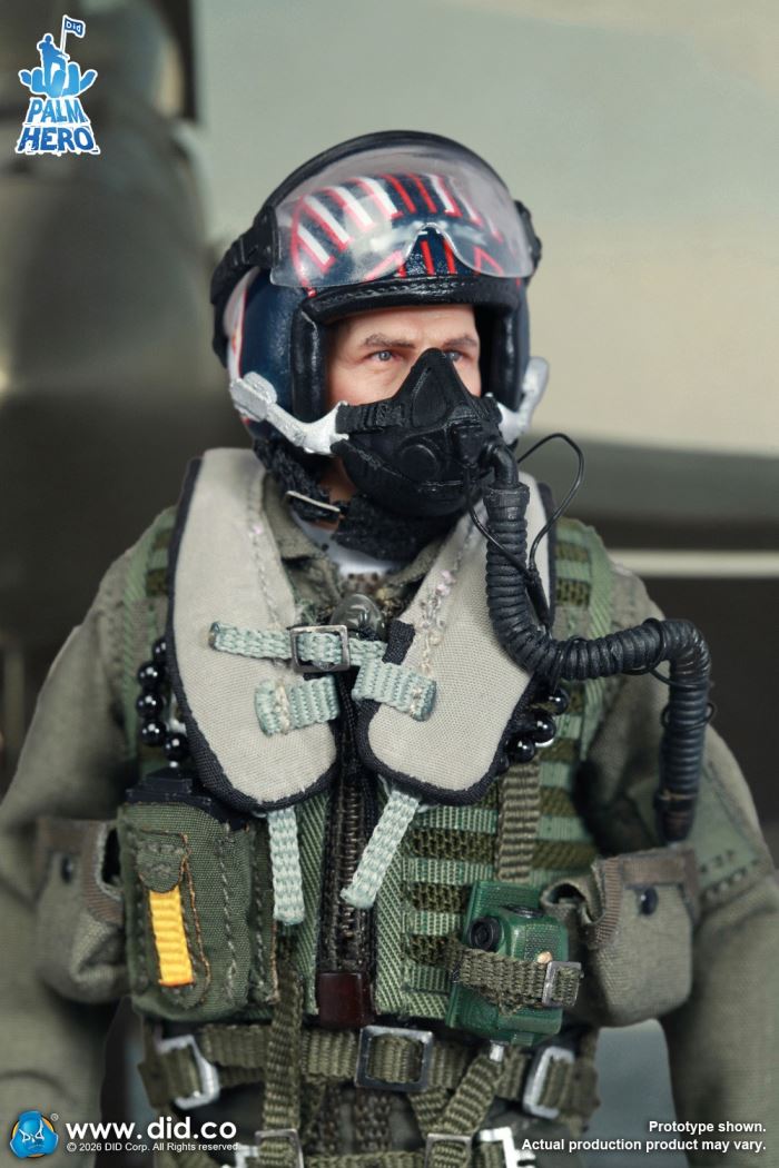 U.S. Navy Fighter Weapons School Instructor and F/A-18E Pilot - Captain Mitchell 1/12
