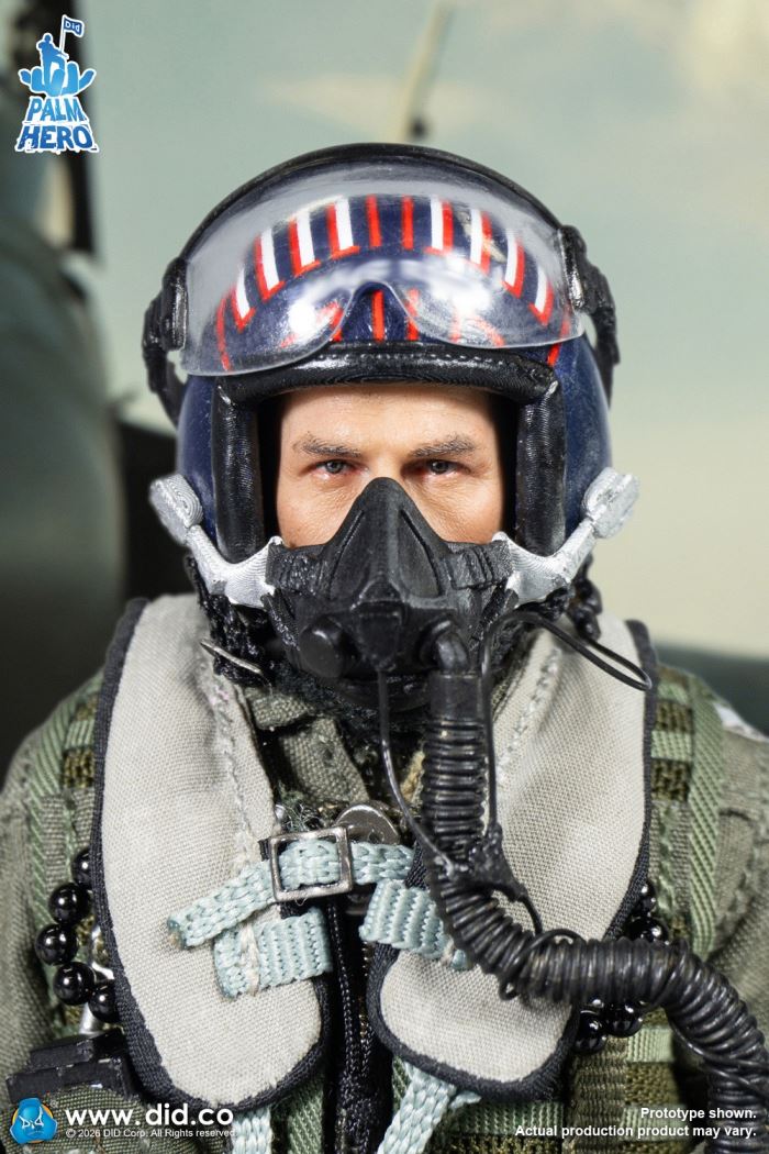 U.S. Navy Fighter Weapons School Instructor and F/A-18E Pilot - Captain Mitchell 1/12