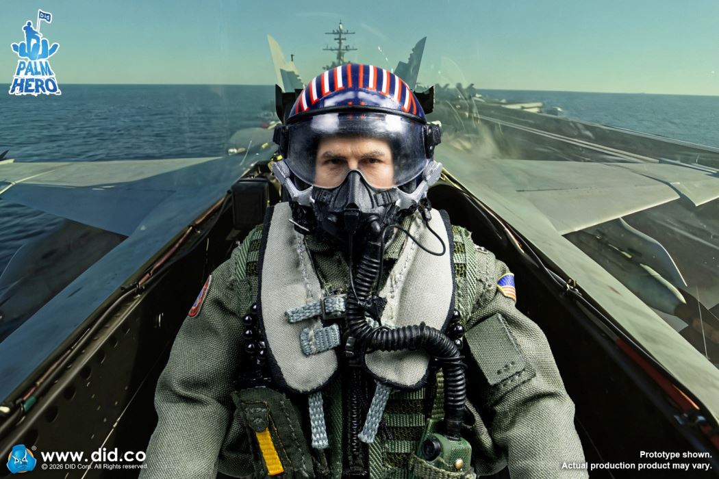 U.S. Navy Fighter Weapons School Instructor and F/A-18E Pilot - Captain Mitchell 1/12