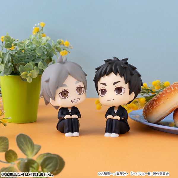 LookUp Haikyuu!! - Daichi Sawamura & Koshi Sugawara