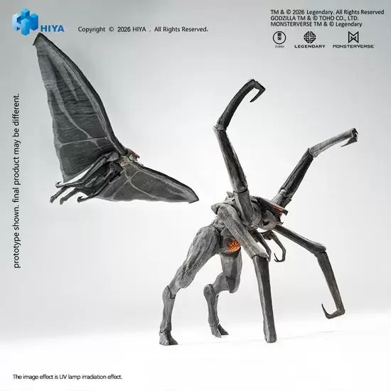 Male & Female Muto Set