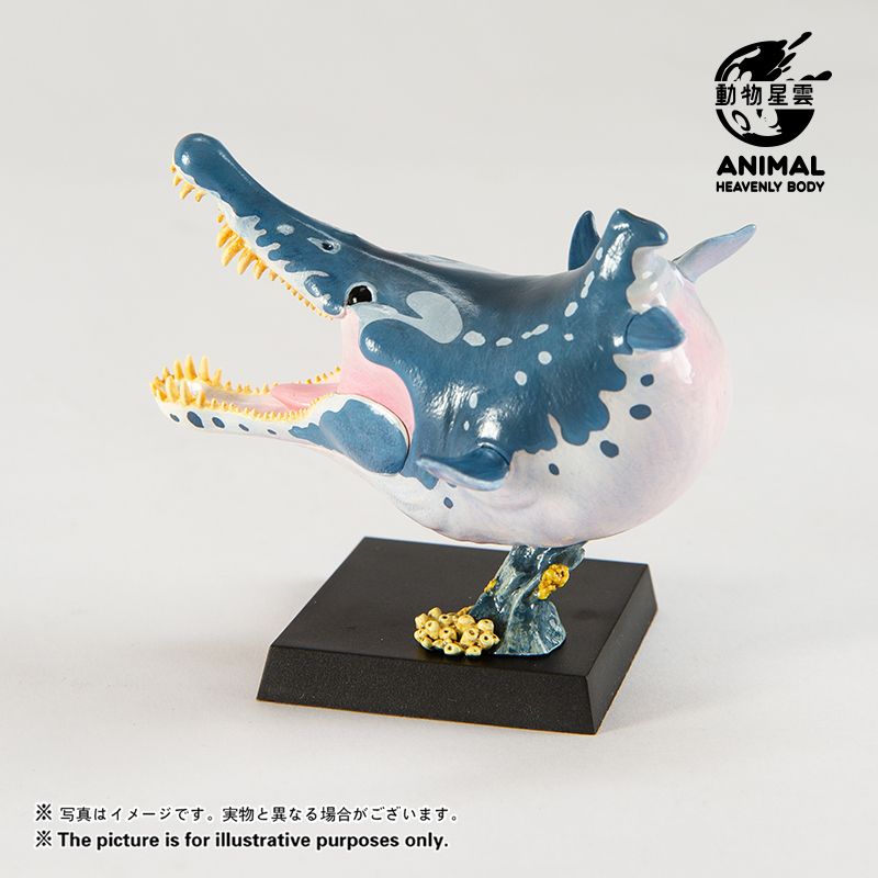 Round Paleontology Series 5: Thin-skinned Dragon & Mosasaurus & Liopleurodon