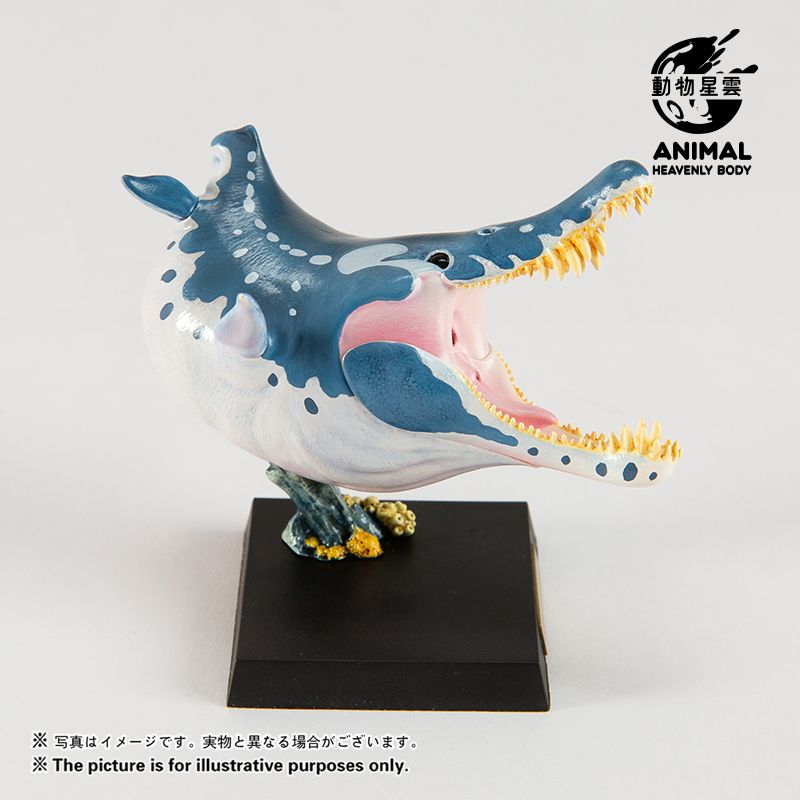 Round Paleontology Series 5: Thin-skinned Dragon & Mosasaurus & Liopleurodon